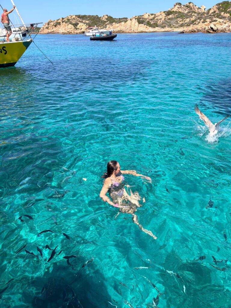 Cosa Vedere Alla Maddalena Escursioni In Barca La Maddalena