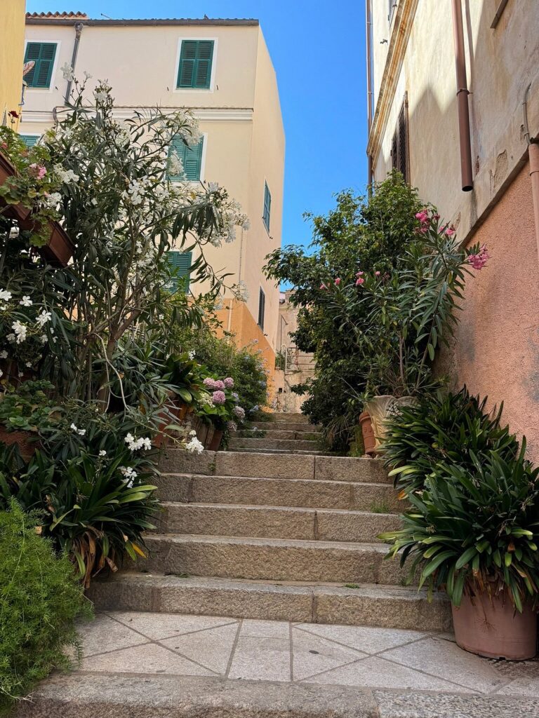 Cosa Vedere Alla Maddalena Cosa Vedere Alla Maddalena - Centro Storico